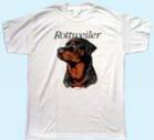 Preview: T-Shirt Rottweiler