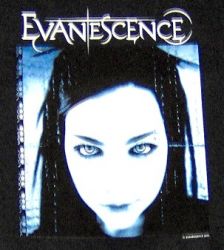 Evanescence - Shirt -Album