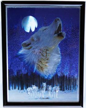 Alubild Wolf in der Nacht