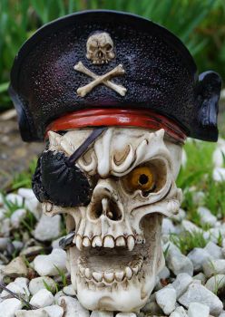 Totenkopf mit Piratenmütze